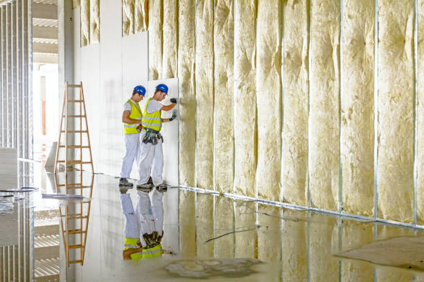 Best Residential Insulation in Knightdale, NC